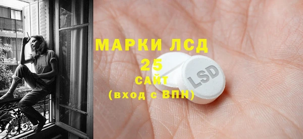 ПСИЛОЦИБИНОВЫЕ ГРИБЫ Верхний Тагил