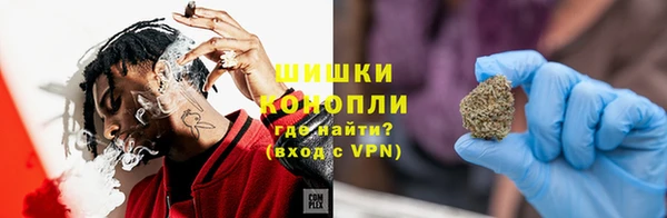 ПСИЛОЦИБИНОВЫЕ ГРИБЫ Верея