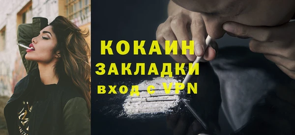 ПСИЛОЦИБИНОВЫЕ ГРИБЫ Верея