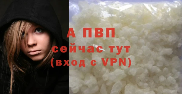 ПСИЛОЦИБИНОВЫЕ ГРИБЫ Верхний Тагил