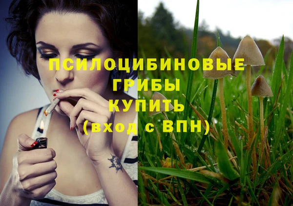 ПСИЛОЦИБИНОВЫЕ ГРИБЫ Верея