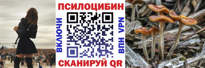 сайты даркнета как зайти  Добрянка  Галлюциногенные грибы Magic Shrooms 